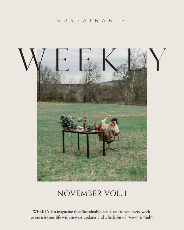 【WEEKLY】November Vol.1
