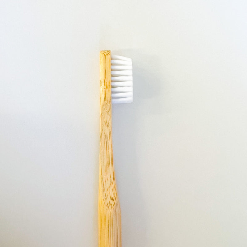 【TGTW】竹歯ブラシ｜Bamboo Toothbrush